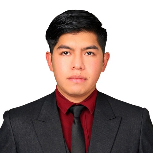 M.Sc. Ing. David Morales Vega